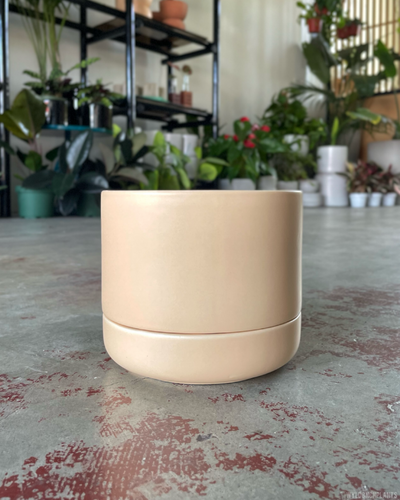 Franklin 17 Self Watering Pot