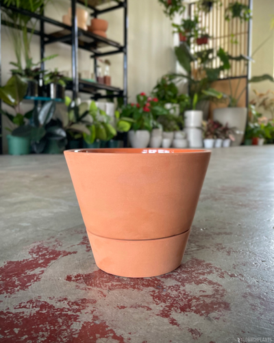 Ainslie 17 Self Watering Pot