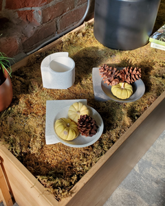 Tortuga Platform Planter Small