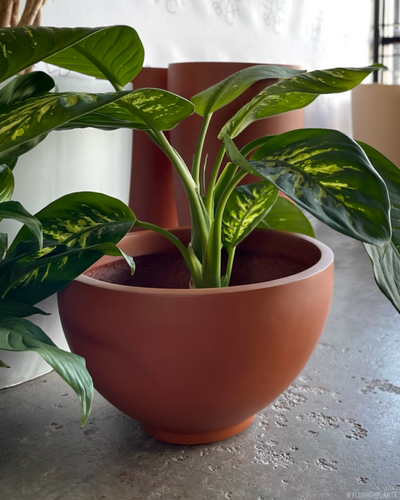 Milton 41 Large Planter