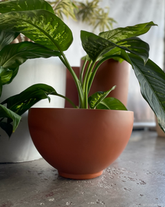 Milton 41 Large Planter