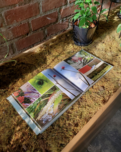 The Cultivated Wild: Gardens and Landscapes