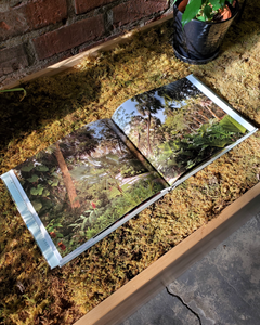 The Cultivated Wild: Gardens and Landscapes