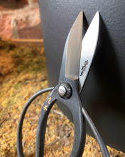 Load image into Gallery viewer, Garden Scissors from RT1Home