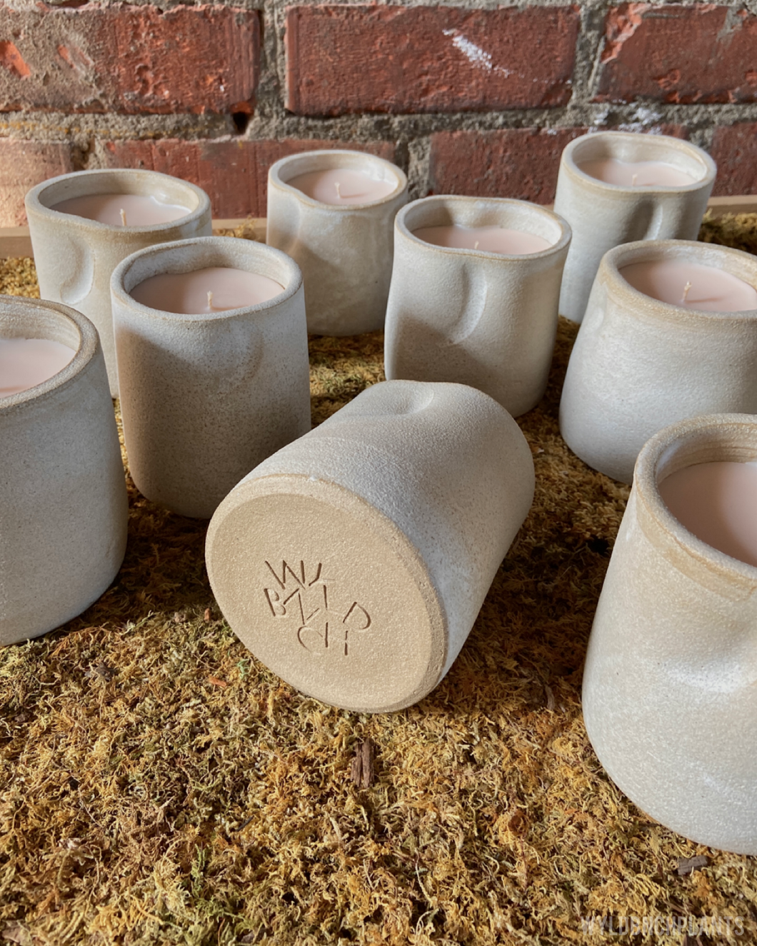 Wyldbnch Candle // Handmade Ceramic Vessel