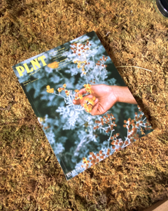 PLNT Magazine Volume III