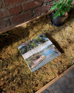 The Cultivated Wild: Gardens and Landscapes
