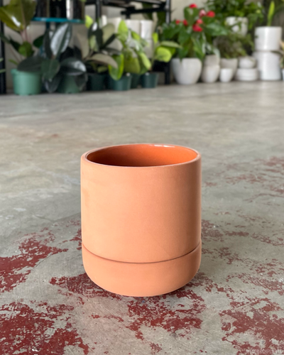 Franklin 12 Self Watering Pot